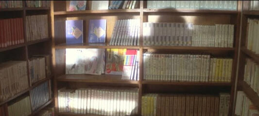 shelf